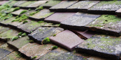 Grays roof repair costs